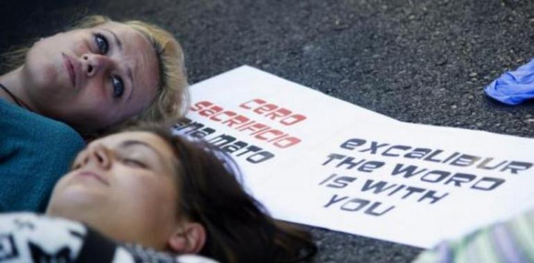 Scuffles in Spain as ebola victims dog put down 