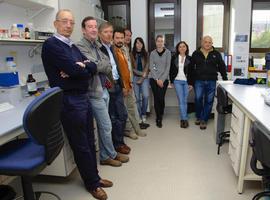 Científicos de #UniOvi hallan en algas y corales del Cantábrico bacterías productoras de fármacos