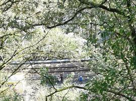 Dos heridos tras salirse de la vía en Parres