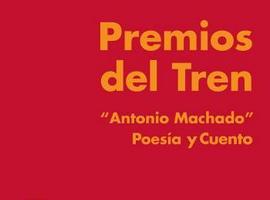 El asturiano Ricardo Menéndez Salmón, finalista de los premios del Tren Antonio Machado