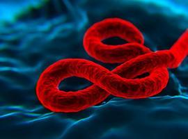 OMS: Los resultados de la #vacuna suiza contra el #ébola se esperan en diciembre