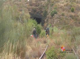 Rescatan a una joven herida en la ruta del ferrocarril abandonado