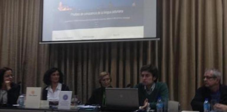 Del Teso vería un error que lasturianu normativu basárase nel amestáu y non nelementos autóctonos