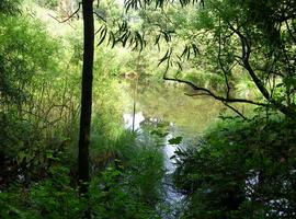 Mineres del Cantábricu reduz la plantiya a la espera de la resolución sobre lImpactu Ambiental en Salave