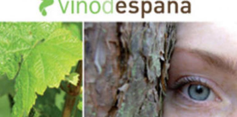 Un paseo por las rutas del Vino de España