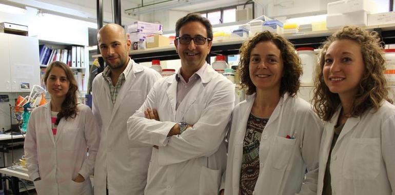 Combinan células madre y antioxidantes para tratar lesiones cerebrales con éxito
