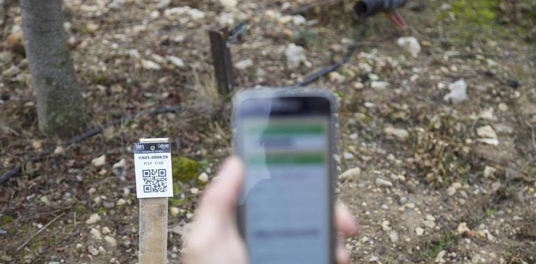 Una app que mejora y facilita la producción de trufa