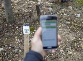 Una app que mejora y facilita la producción de trufa