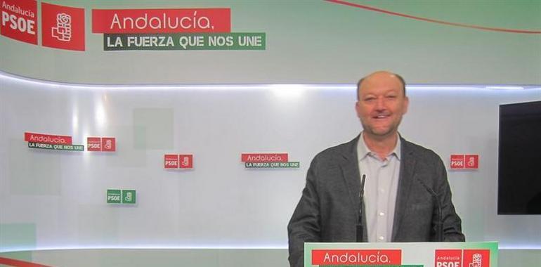 Andalucía y Asturias serán ejemplo del PSOE para el cambio del modelo sufrimiento del PP