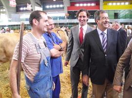 Genes de oro en el Certamen ganadero de San Agustín 