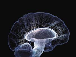 Presentación del Manual de Neuroanestesia y Neurocríticos en el Colegio de Médicos de Asturias