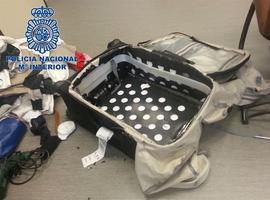 El consumo de cocaína cuadriplica el riesgo de muerte súbita en personas de 19 a 49 años 