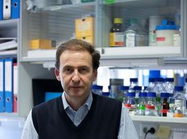 Un trabajo sobre el seguimiento de tumores gana el Premio de Biomedicina Aplicada Valdés-Salas