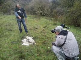 LoboMarley y Seprona ponen fin a la mayor trama de furtivismo del Norte de España