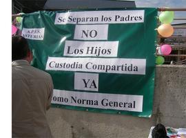 Padres de Familia Separados de Asturias hace balance de la violencia doméstica en 2014
