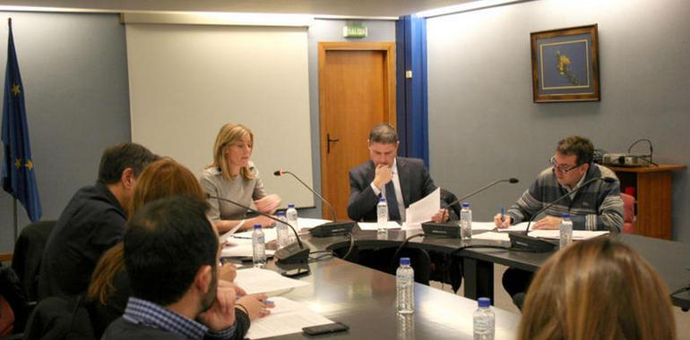 Asturias dispone ya de la tarjeta identificativa del grado de discapacidad