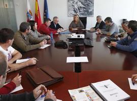 Cantabria prepara una Estrategia Regional que frene la expansión de la #avispa #asiática