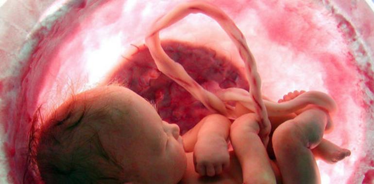 Diferencias genómicas en el desarrollo fetal del cerebro masculino y femenino