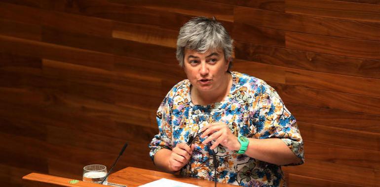 Educación lamenta la escasez de tiempo para implantar en ESO y Bachillerato la ley Wert