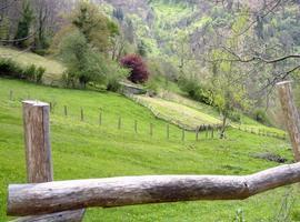 Jornada de poda y cuidados de invierno en los manzanos de sidra en Villaviciosa