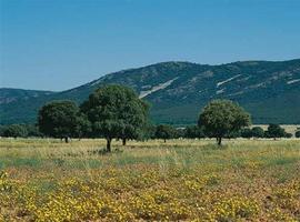 5 ONG ecologistas piden la retirada del anteproyecto de ley de caza de Castilla-La Mancha