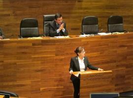 Medio Ambiente reconoce contaminación de Gijón "similar a otras ciudades de Europa"