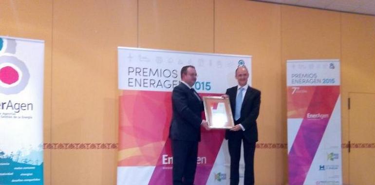 La Planta de Biogás en Tineo, de Biogás  Fuel Cell, distinguida en ENERAGEN 2015 