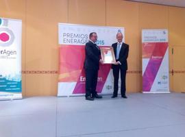 La Planta de Biogás en Tineo, de Biogás  Fuel Cell, distinguida en ENERAGEN 2015 