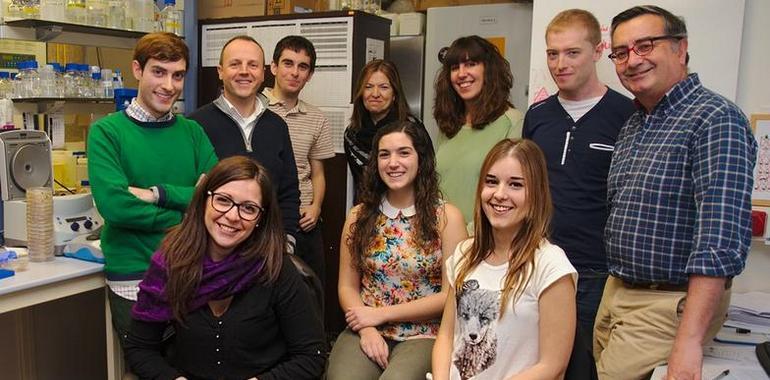 Uniovi participa en la búsqueda de antibióticos en algas para prevenir infecciones en prótesis