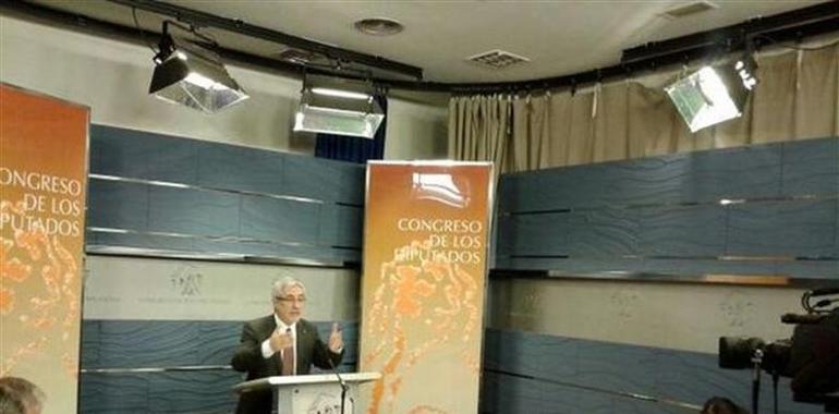 Llamazares denuncia la liquidación de la minería por el PP
