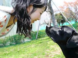 La mirada entre perro y dueño aviva la hormona del amor