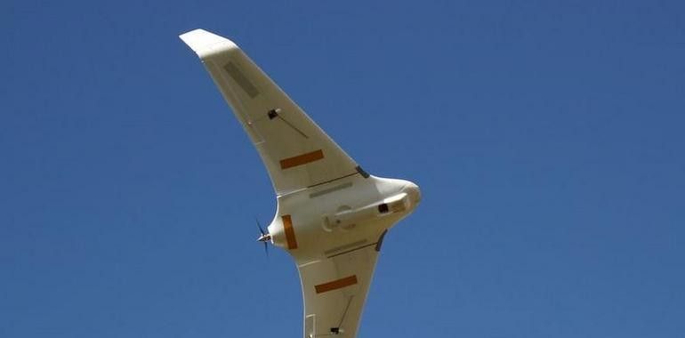 Satélites y drones para investigar incendios en los pinares 