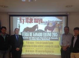 Pola de Siero se convierte en la capital del ganado equino este fin de semana