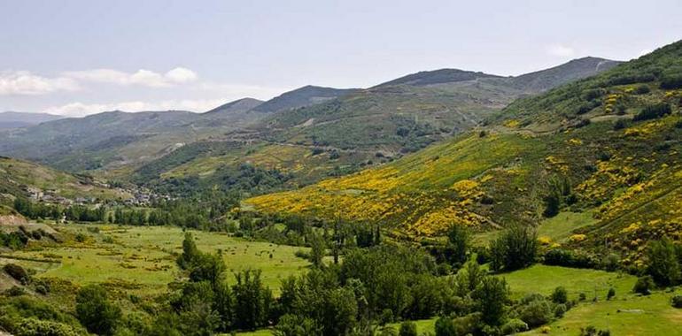 Debate de cine sobre el patrimonio natural y etnográfico de la zona leonesa de La Cabrera