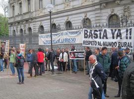 FAPAS denuncia que se achacan al lobo muchos más daños de los que causa