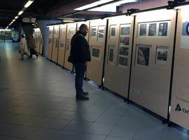 Caminos de Hierro en la estación de Oviedo