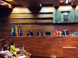 Podemos insiste en una mesa del Parlamento con todas las fuerzas representadas