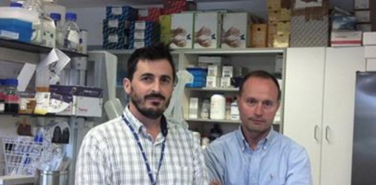 Investigadores asturianos descubren nuevo biomarcador para la detección precoz del cáncer de páncreas