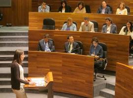 Podemos anuncia cambios y carga contra la corrupción en el pleno de investidura en Asturias