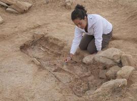 Aparecen enterramientos tardoimperiales en las excavaciones de la ciudad celtibérica de Segeda