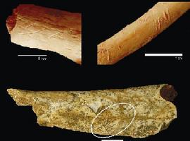 Los homínidos de hace 800.000 años planificaban la adquisición, transporte y preparación de la caza