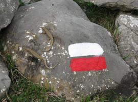 Navarra regula la creación y conservación de los senderos deportivos de uso público
