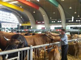 Día de la Caja Rural de Asturias en el Certamen agropecuario San Agustín 2015