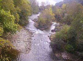Reparación de las defensas y dragado del río Sella en Arriondas para evitar posibles avenidas
