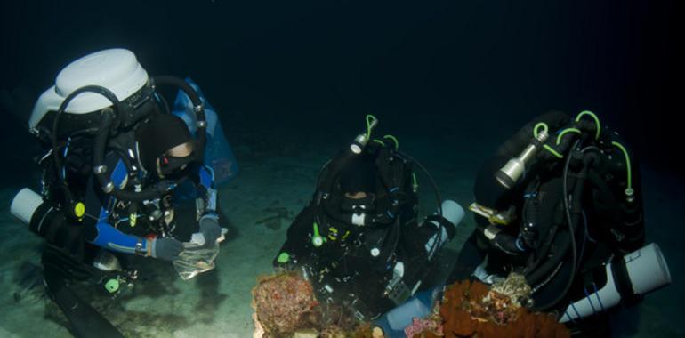 Los nuevos antitumorales surgen del fondo del mar y se fabrican en España
