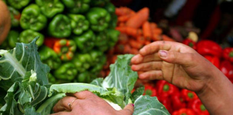 50 gramos de aceite de oliva al día, eficaz preventivo del cáncer de mama 