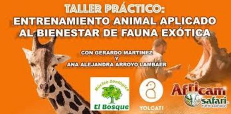 Zoo de Oviedo recibe a Gerardo Martínez, prestigioso entrenador de animales 