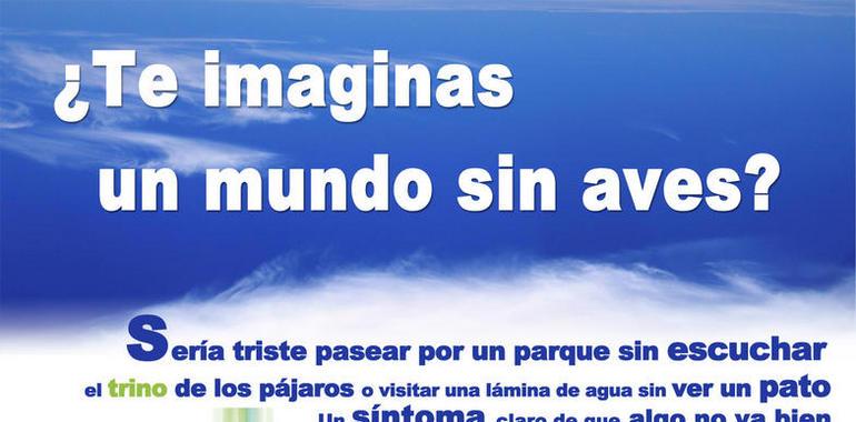Las aves piden aire sobre el monte Deva