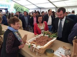 Álvarez: El reparto de ayudas perjudica “singularmente” a los ganaderos asturianos