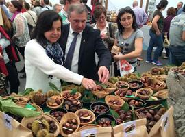 Declaradas zonas de pastoreo tradicional nuevas superficies en Asturias